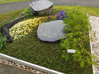 Gärtnerei Diekmeyer in Bremen Blumen und Pflanzen