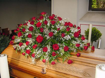 Gärtnerei Diekmeyer in Bremen Blumen und Pflanzen